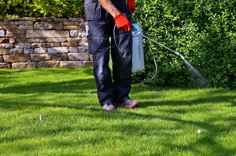 Lawn Weed Spraying