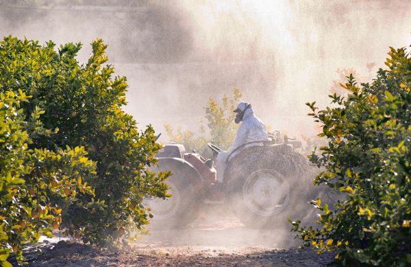 Weed Control Treatment