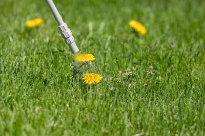 Weed Killer