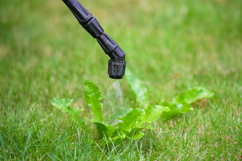 Targeted Weed Control Solutions