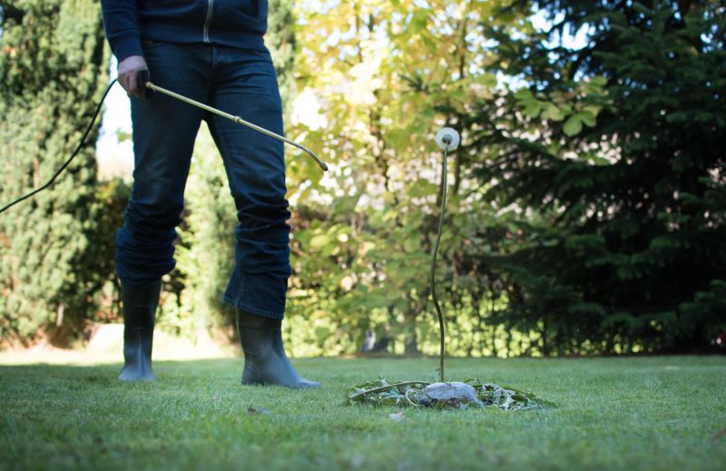 Customized Treatments